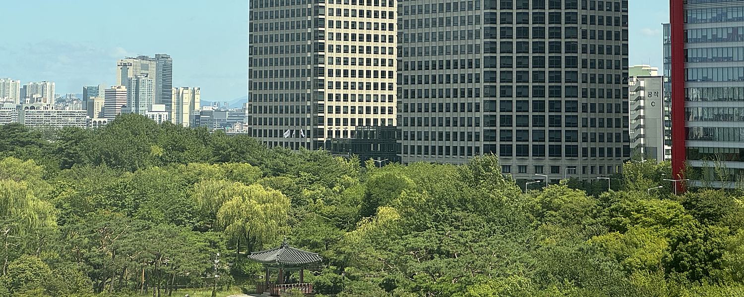 법무법인 화온 사무실에서 내려다본 여의도 전경